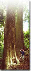 Hacienda Baru, Costa Rica, National Wildlife Refuge