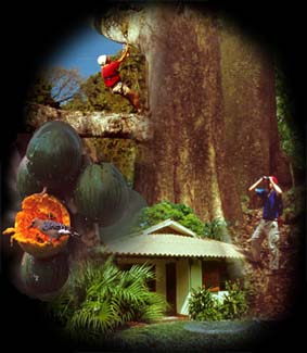 Hacienda Baru, Costa Rica, National Wildlife Refuge